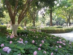 -常州古运河南大街文化旅游区-人民公园