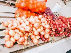 -东方鼎信农副产品交易中心