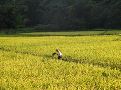 -钟山水墨田园