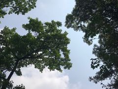 -杭州半山国家森林公园