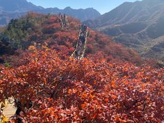 -水峪民俗村