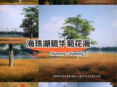 -海珠湖公园
