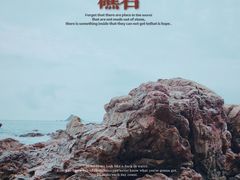 -西涌国际滨海旅游区