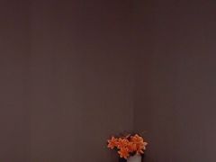 -義三国·足道·按摩(许都店)