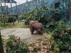 -成都动物园