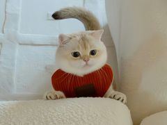 -老娘舅(仙林店)