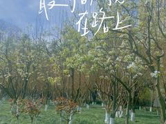 -绵阳人民公园(涪城区)