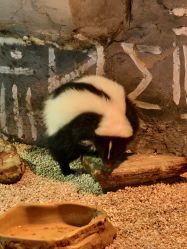 点击看大图 -Zoolung Zoolung动物主题公园(海信广场店)