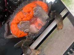 -南沙十九涌渔人码头-南门