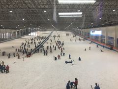 -绍兴启迪乔波冰雪世界