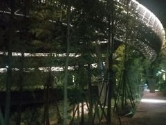 -梅峰山地公园