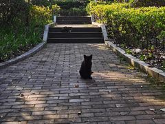 -黄兴公园