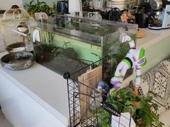 -平行世界·猫咖(首经贸店)