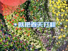 -徐家汇公园