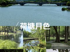 -长广溪湿地公园