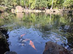 -海口火山口国家地质公园