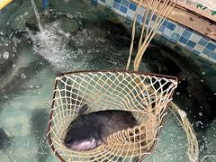 -九寨沟石锅鱼(沣峪口二十年店)