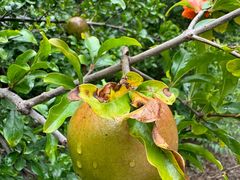 -铁道游击队纪念馆