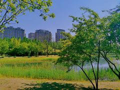 -群力丁香公园