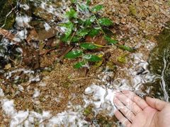 -南京市无想山景区