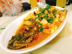 -煲来饱去冷水鱼