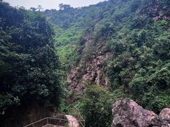 -南海湾森林生态园