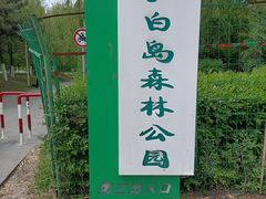 -长白岛森林公园