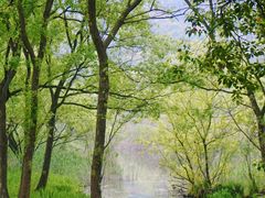 -西湖风景区-江洋畈生态公园