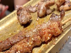 -杨小佳·齐齐哈尔烤肉·烤串(广州店)