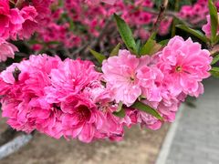 -元大都城垣遗址公园