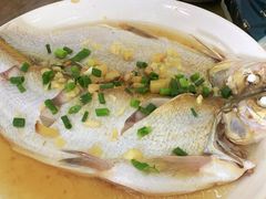 -宾湖农庄·农场特色(太湖龙之梦店)