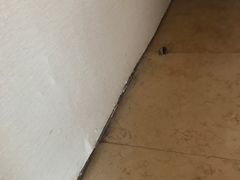 -天津君隆威斯汀酒店