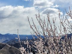 -龙泉峪长城