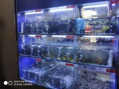 -石锅苗苗鱼(武汉首店)