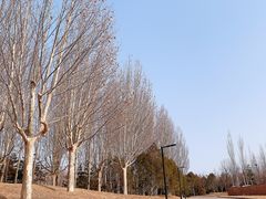 -北京奥林匹克公园