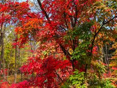 -本溪老边沟风景区