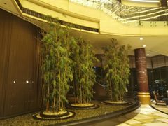 -上海红塔豪华精选酒店