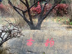 -无锡梅园公园