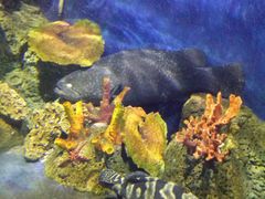 -泉州海丝野生动物世界