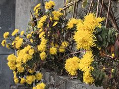 -东钱湖旅游度假区