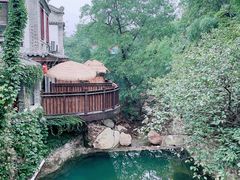 -老张烤羊(王哥庄店)