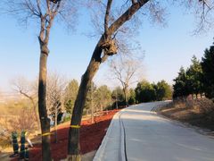 -北京西山国家森林公园