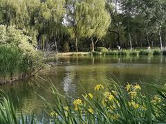 -将府公园