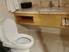 -张掖华辰国际大酒店