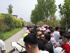 -渔岛海洋度假区