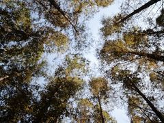 -南京金牛湖风景区