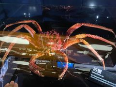 -同济大学四平路校区深海探索馆