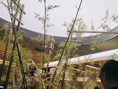 -江南里·新浙菜(苏州大悦城店)