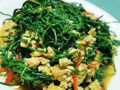-煲来饱去冷水鱼