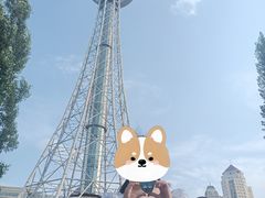 -龙塔